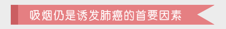 可怕！霧霾與肺癌真有傳說(shuō)中的“七年之約”？